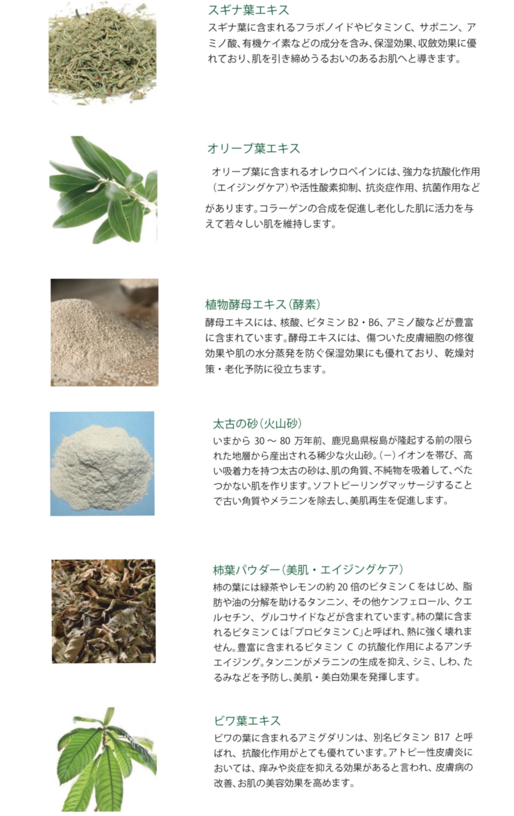 REVI 陶肌パウダー